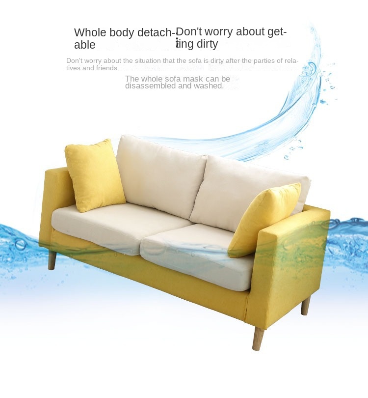 Nordic fabric sofa small apartment living room simple modern double three rental room clothing store sofa net red models