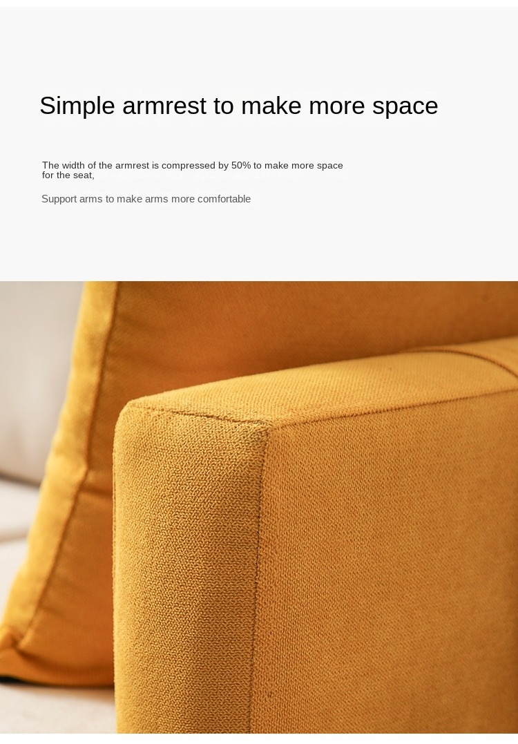 Nordic fabric sofa small apartment living room simple modern double three rental room clothing store sofa net red models