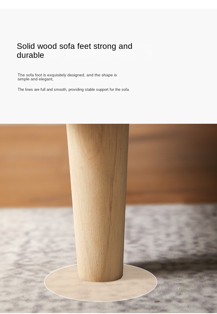 Nordic fabric sofa small apartment living room simple modern double three rental room clothing store sofa net red models