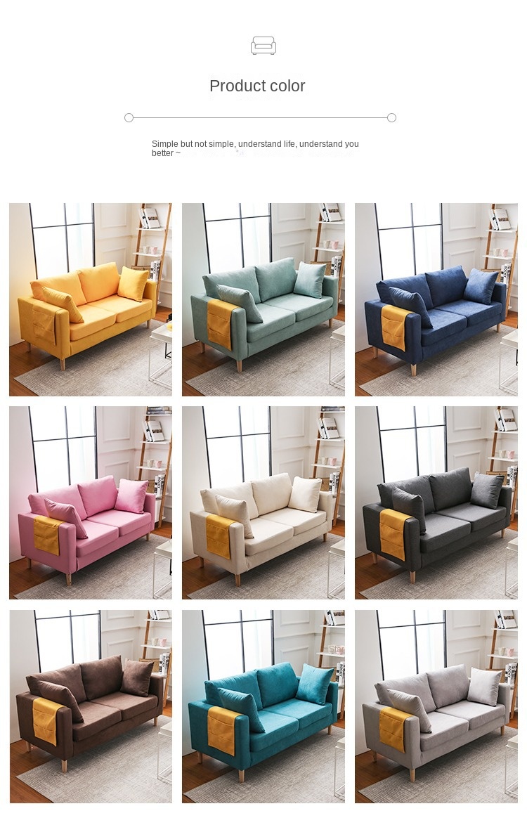 Nordic fabric sofa small apartment living room simple modern double three rental room clothing store sofa net red models