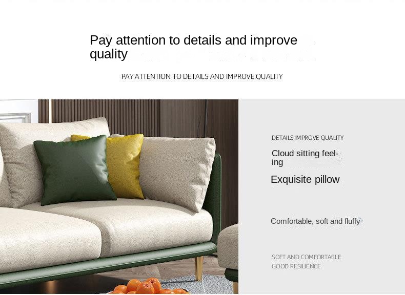 Italian wash-free technology fabric sofa small apartment living room single double three Nordic simple combination small sofa