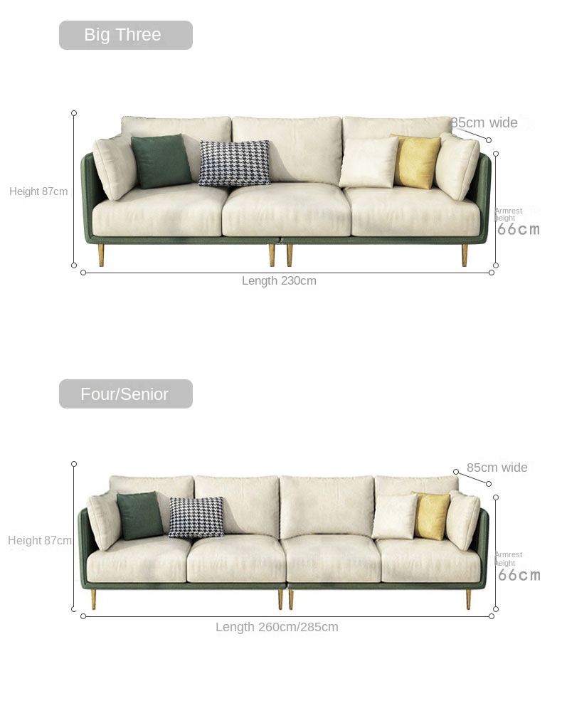 Italian wash-free technology fabric sofa small apartment living room single double three Nordic simple combination small sofa