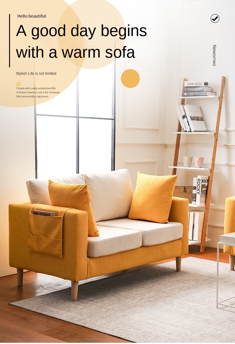Nordic fabric sofa small apartment living room simple modern double three rental room clothing store sofa net red models