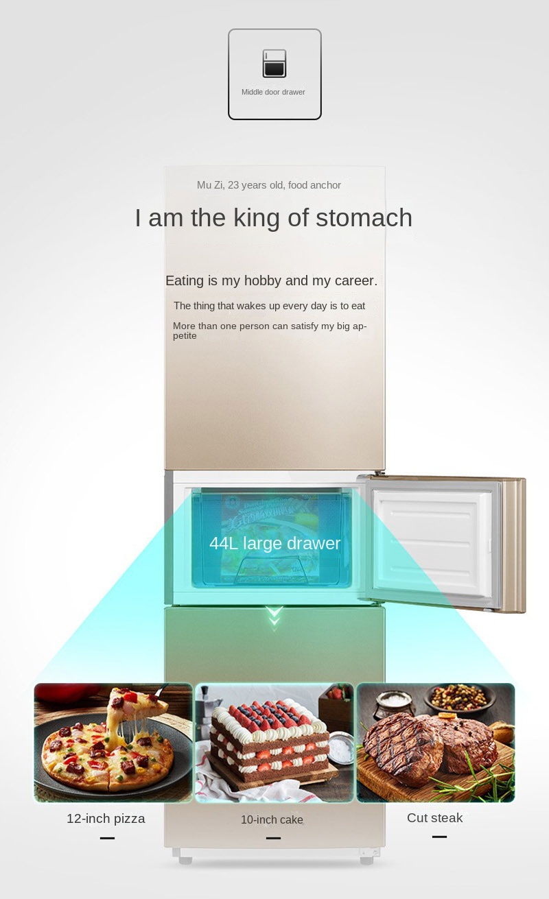 213 liters three-door refrigerator three-temperature low-temperature compensation household refrigerator refrigerated and frozen large-capacity Hualing