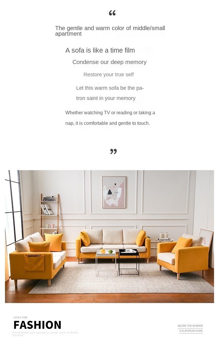 Nordic fabric sofa small apartment living room simple modern double three rental room clothing store sofa net red models