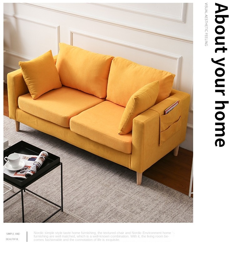 Nordic fabric sofa small apartment living room simple modern double three rental room clothing store sofa net red models