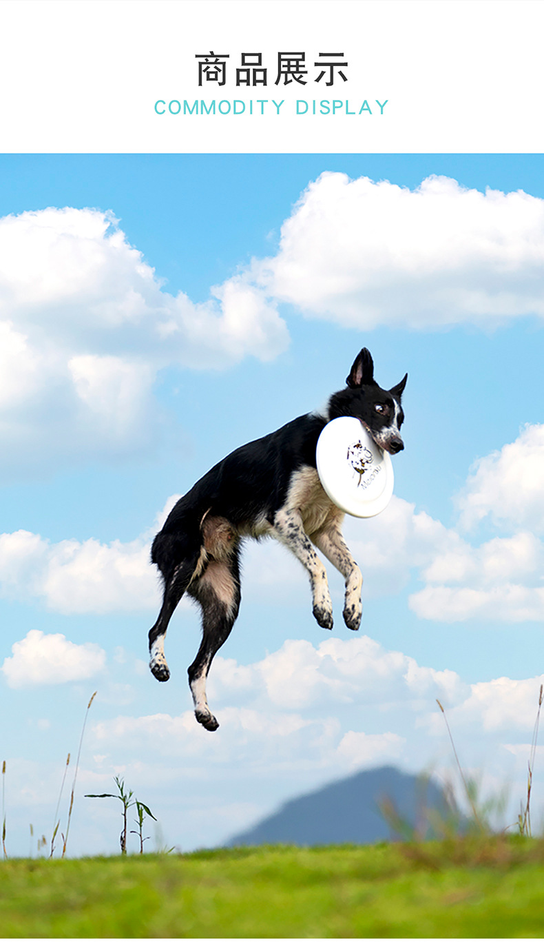 Standard Frisbee 235 Frisbee Dog Training Disc 240 Professional Competition Disc Side Herding Pet Supplies