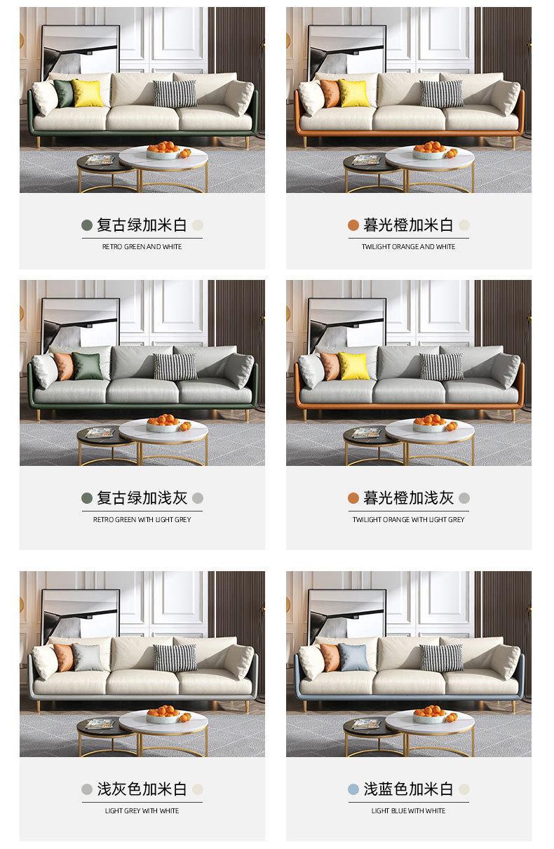 Italian wash-free technology fabric sofa small apartment living room single double three Nordic simple combination small sofa