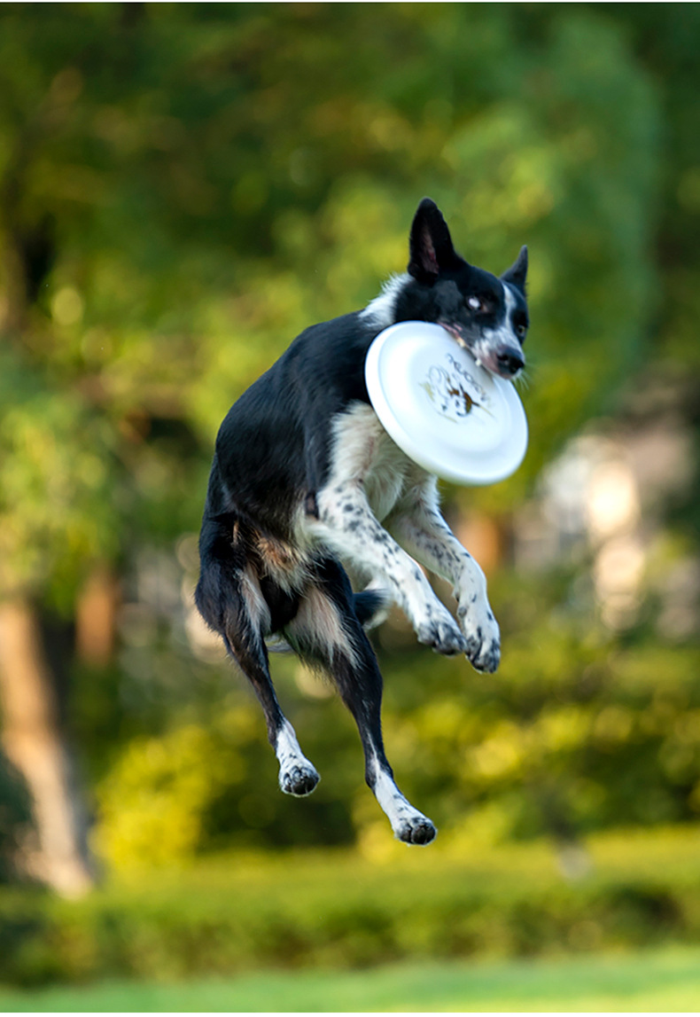 Standard Frisbee 235 Frisbee Dog Training Disc 240 Professional Competition Disc Side Herding Pet Supplies