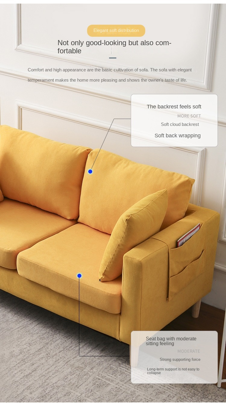 Nordic fabric sofa small apartment living room simple modern double three rental room clothing store sofa net red models