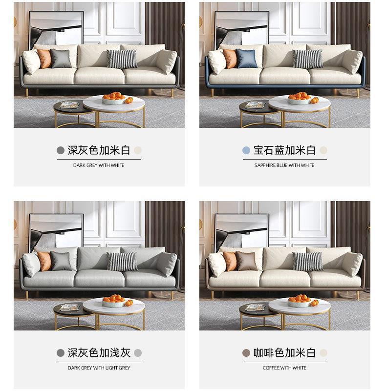 Italian wash-free technology fabric sofa small apartment living room single double three Nordic simple combination small sofa