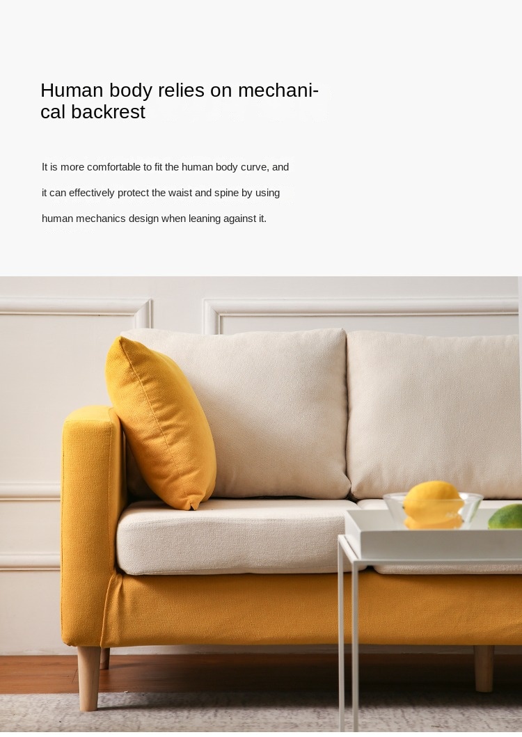 Nordic fabric sofa small apartment living room simple modern double three rental room clothing store sofa net red models