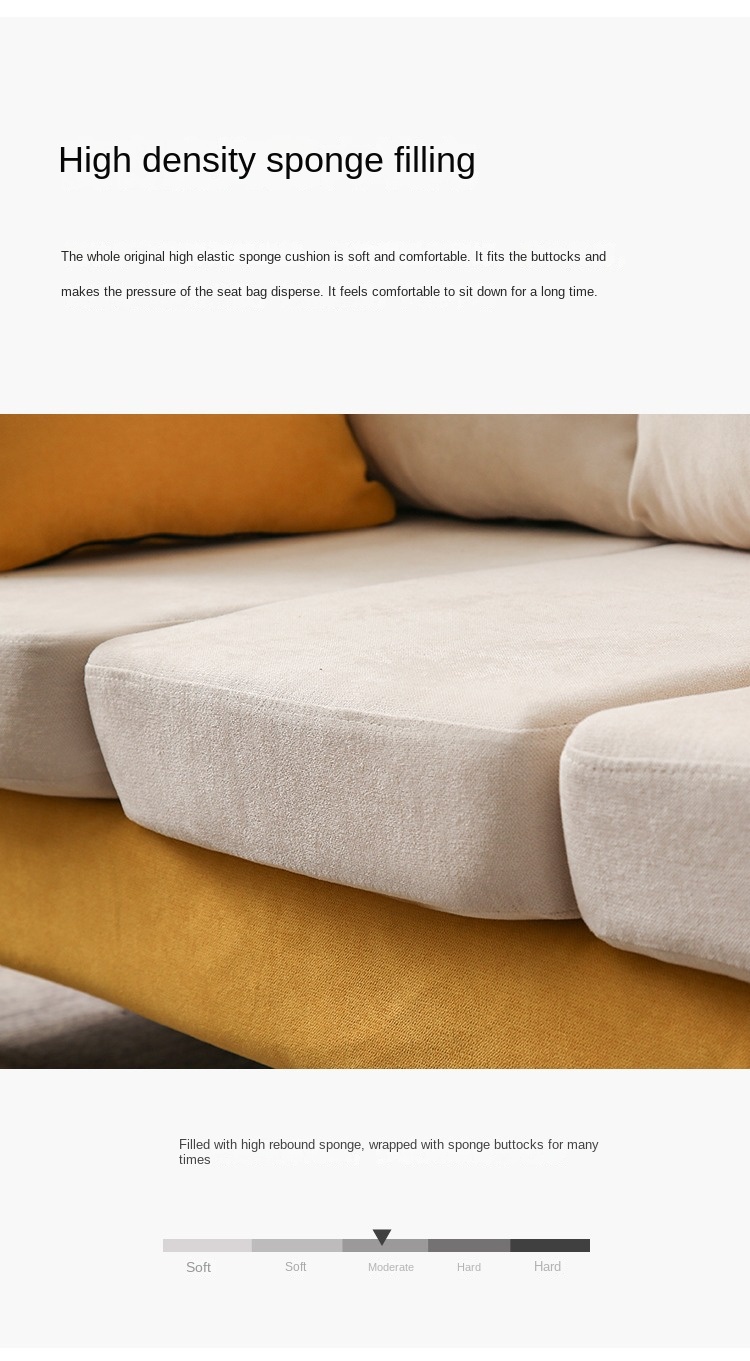 Nordic fabric sofa small apartment living room simple modern double three rental room clothing store sofa net red models