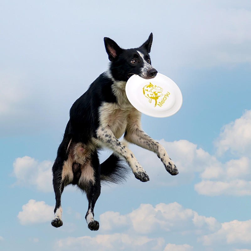 Standard Frisbee 235 Frisbee Dog Training Disc 240 Professional Competition Disc Side Herding Pet Supplies