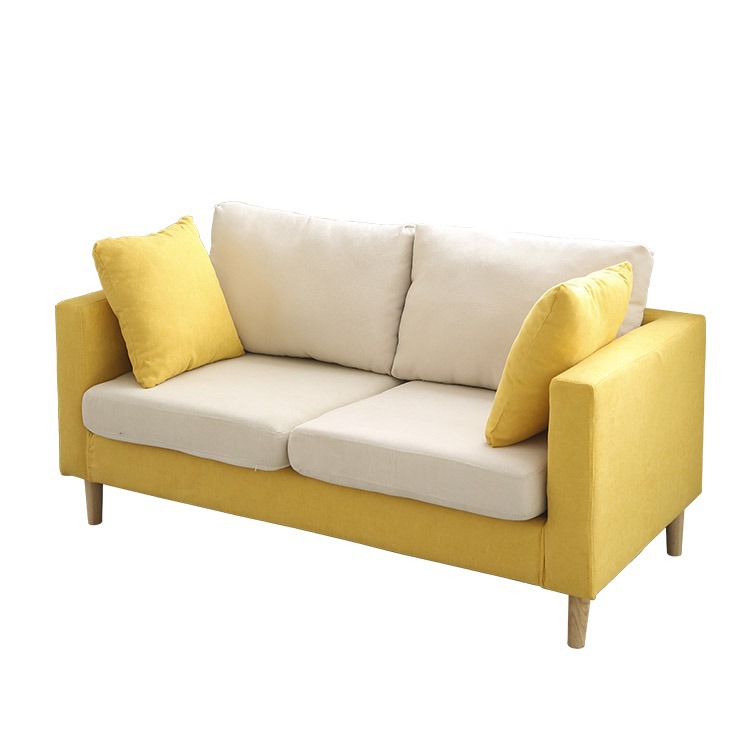 Nordic fabric sofa small apartment living room simple modern double three rental room clothing store sofa net red models