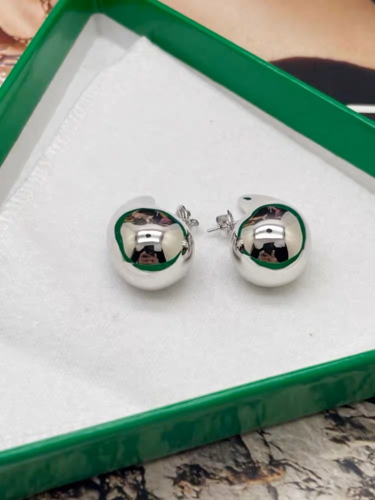 Niche stainless steel drop earrings