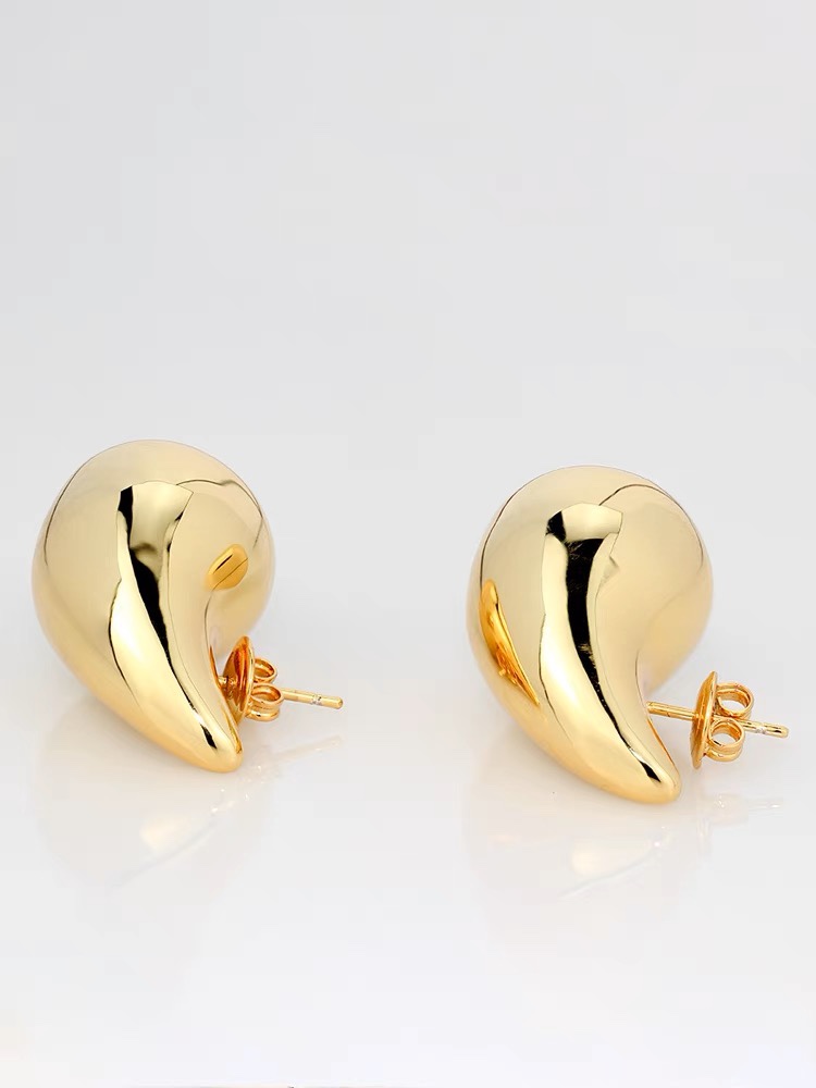 Niche stainless steel drop earrings