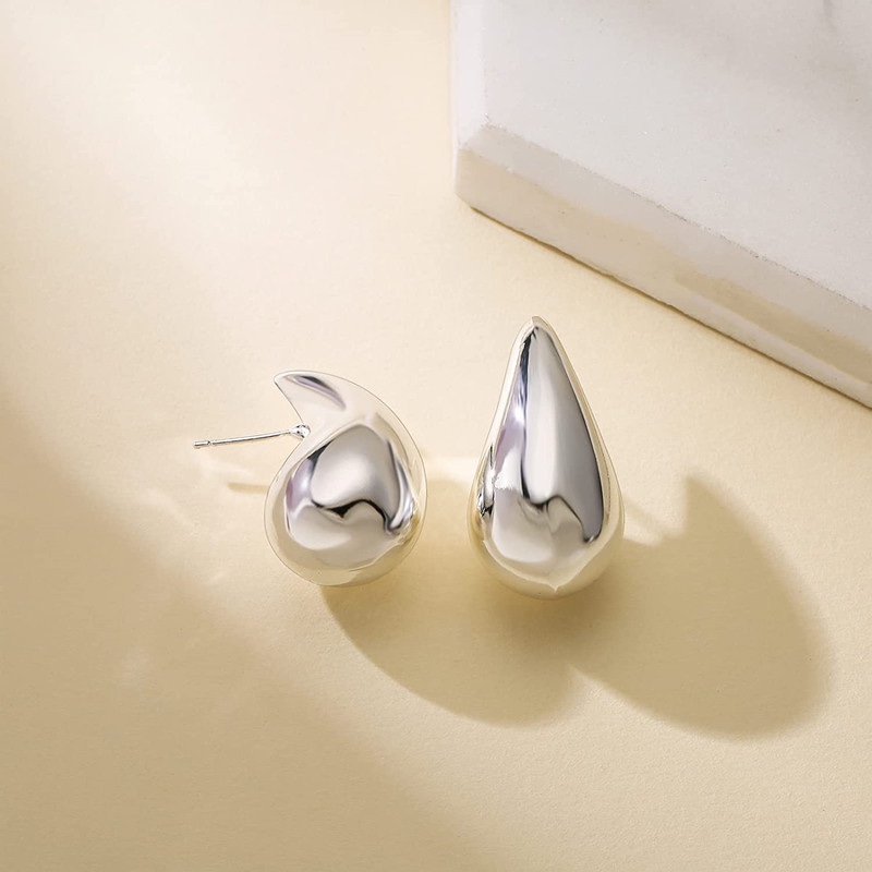 Niche stainless steel drop earrings