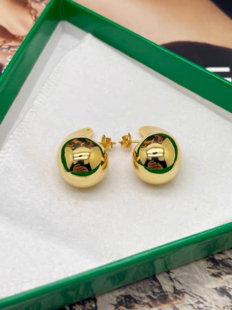 Niche stainless steel drop earrings