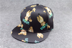 Light plate flat rim hip-hop baseball cap