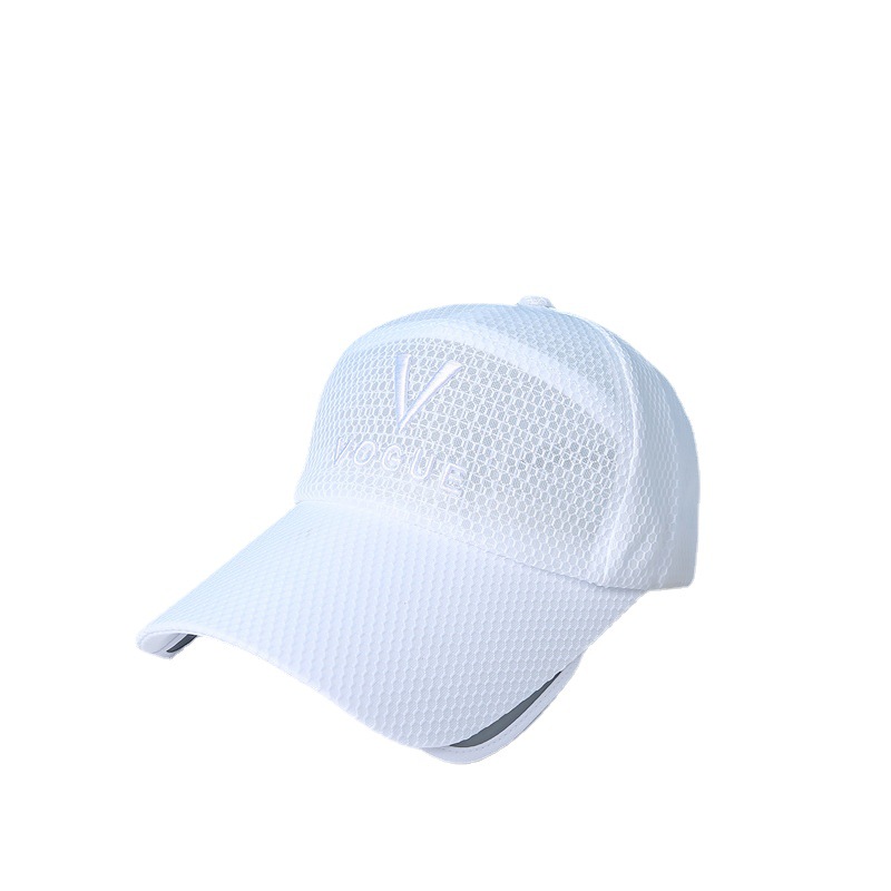 Retractable pull-out plate multifunctional visor