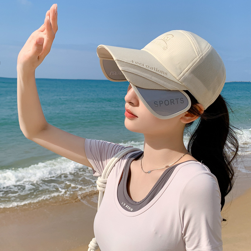 Retractable pull-out plate multifunctional visor