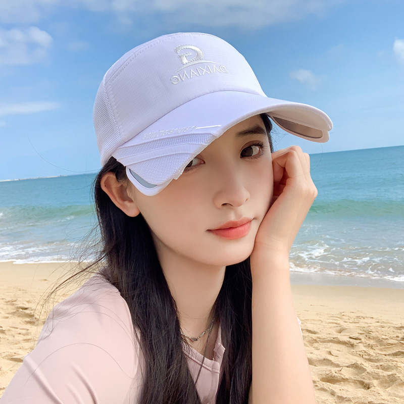 Retractable pull-out plate multifunctional visor