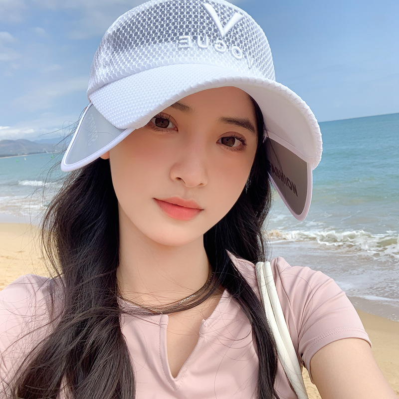 Retractable pull-out plate multifunctional visor