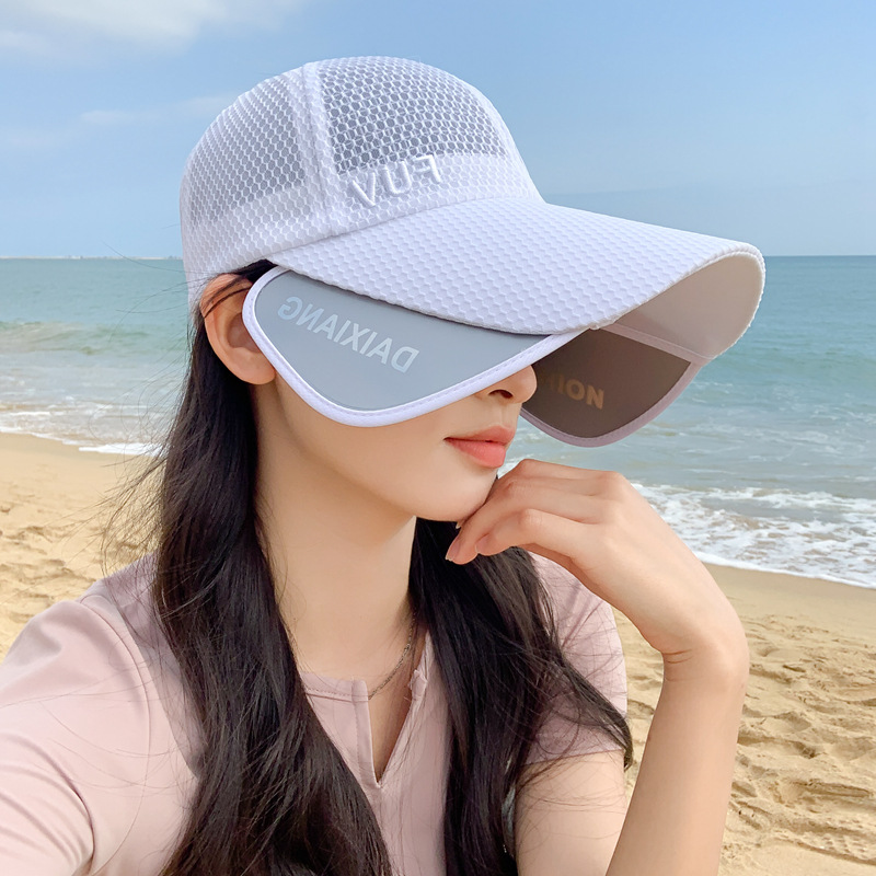 Retractable pull-out plate multifunctional visor