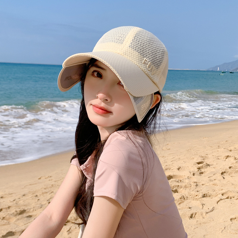 Retractable pull-out plate multifunctional visor