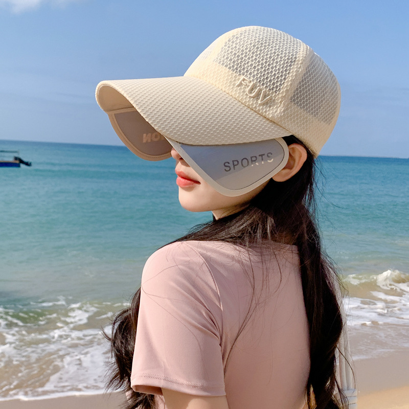 Retractable pull-out plate multifunctional visor