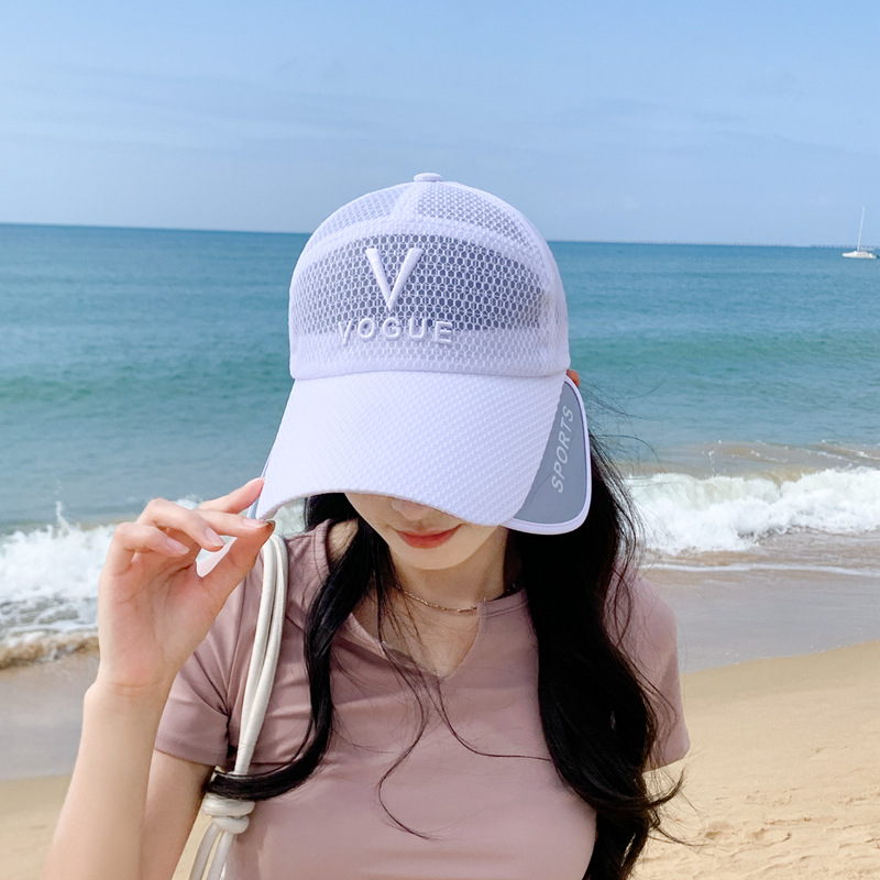 Retractable pull-out plate multifunctional visor