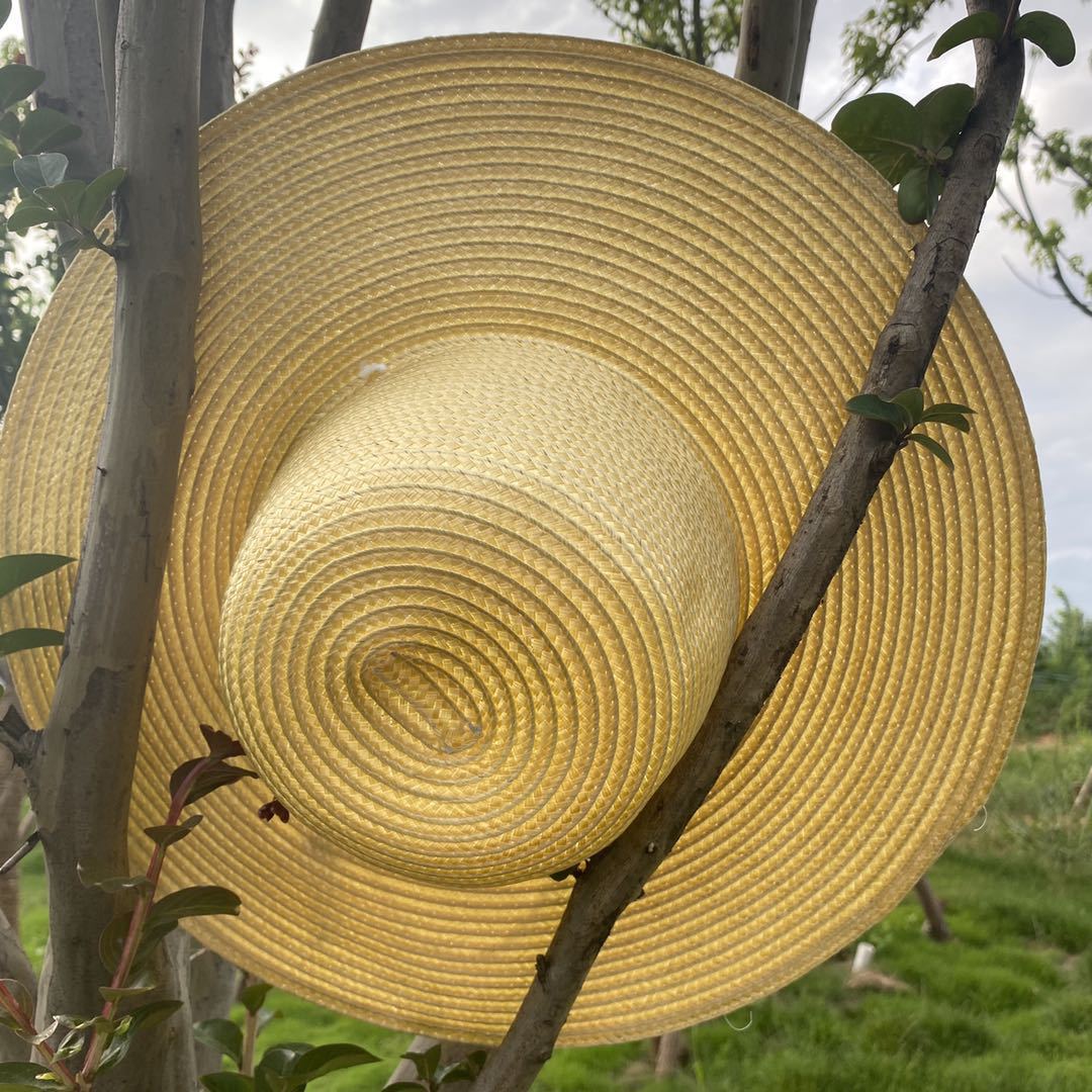 Summer sun hats for men and women farmers straw hats