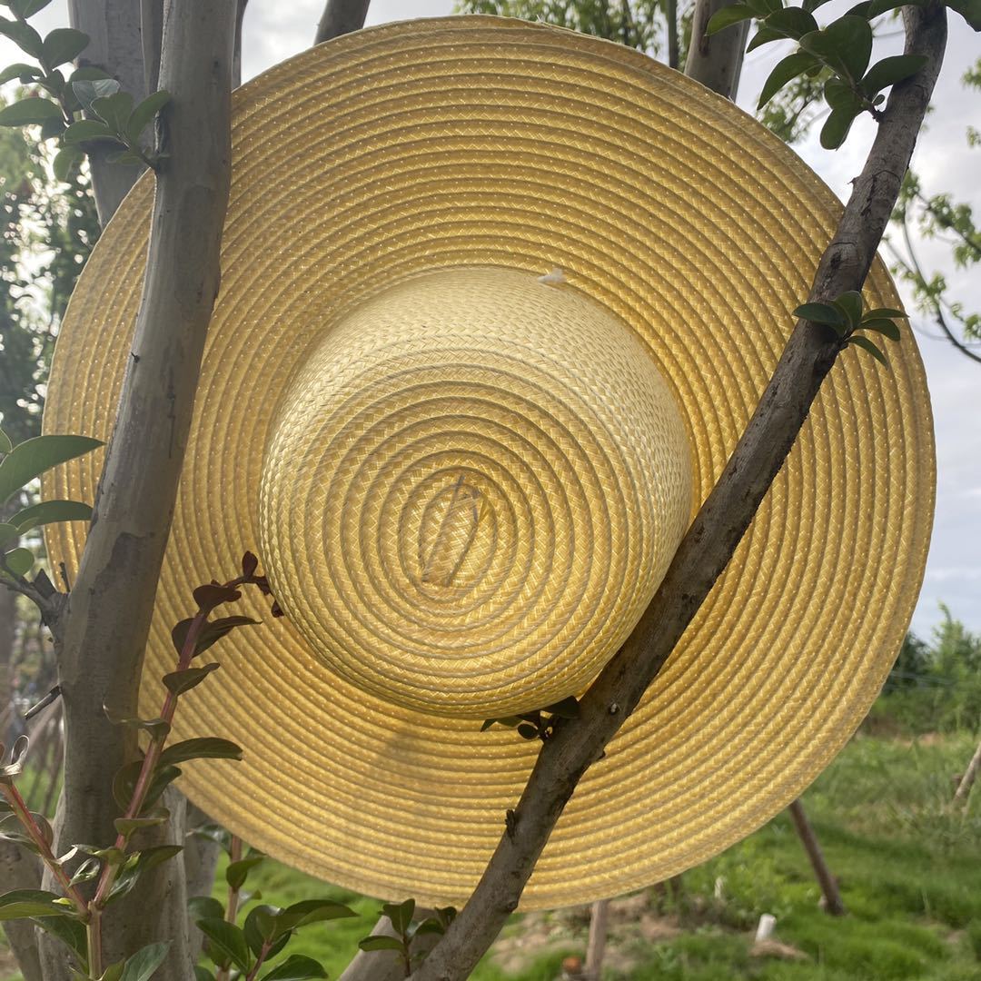Summer sun hats for men and women farmers straw hats